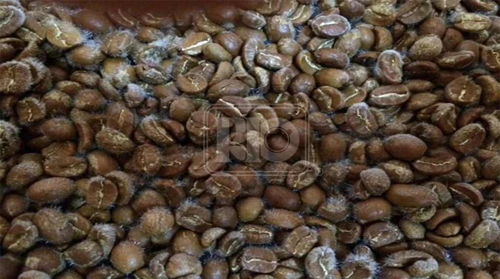 دانه های قهوه کپک زده
