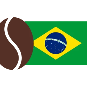 برزیل مدیوم 100%عربیکا