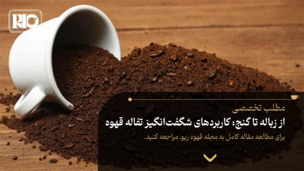 از زباله تا گنج: کاربردهای شگفتانگیز تفاله قهوه
