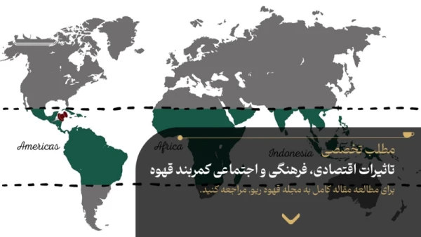 تاثیرات اقتصادی، فرهنگی و اجتماعی کمربند قهوه