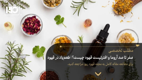 صفر تا صد آروما و افترتیست قهوه چیست؟ | طعمیاد در قهوه