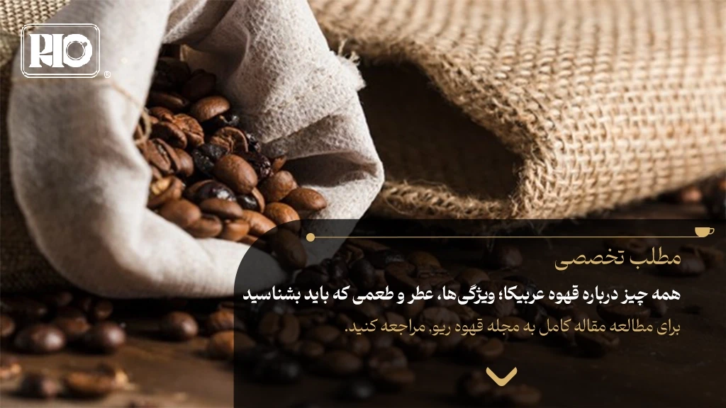 همه چیز درباره قهوه عربیکا؛ ویژگی‌ها، عطر و طعمی که باید بشناسید