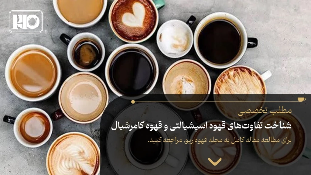 شناخت تفاوت‌های قهوه اسپشیالتی و قهوه کامرشیال