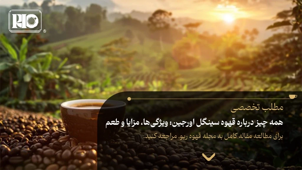 همه چیز درباره قهوه سینگل اورجین: ویژگی‌ها، مزایا و طعم
