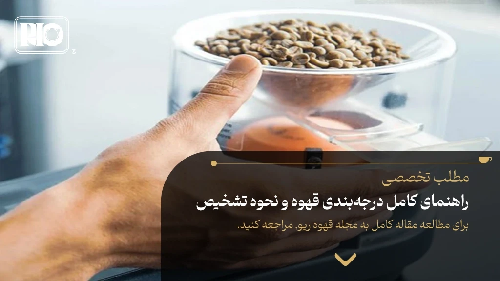 راهنمای کامل درجه‌بندی قهوه و نحوه تشخیص