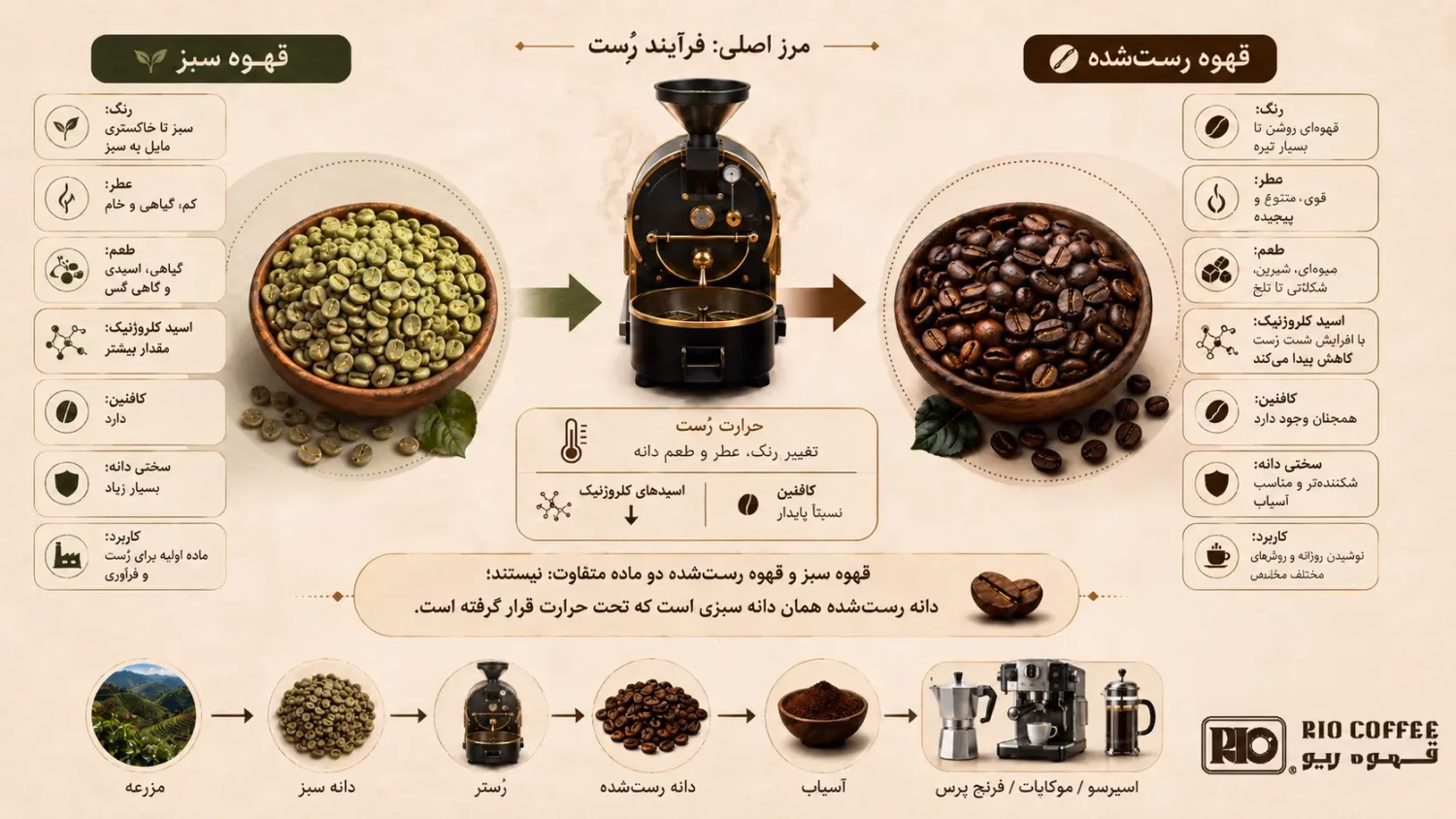 تفاوت قهوه سبز و قهوه معمولی.webp