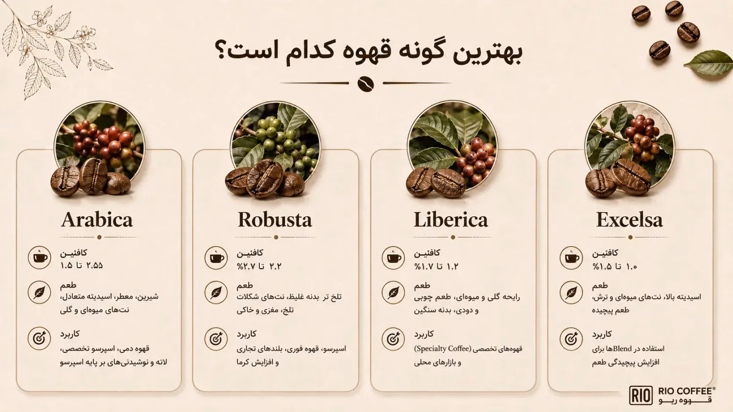 کدام گونه قهوه بهتر است.webp