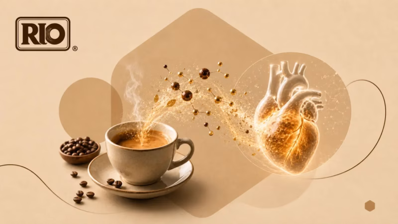 فواید نوشیدن قهوه برای قلب؛ از آنتیاکسیدانها تا سلامت عروق
