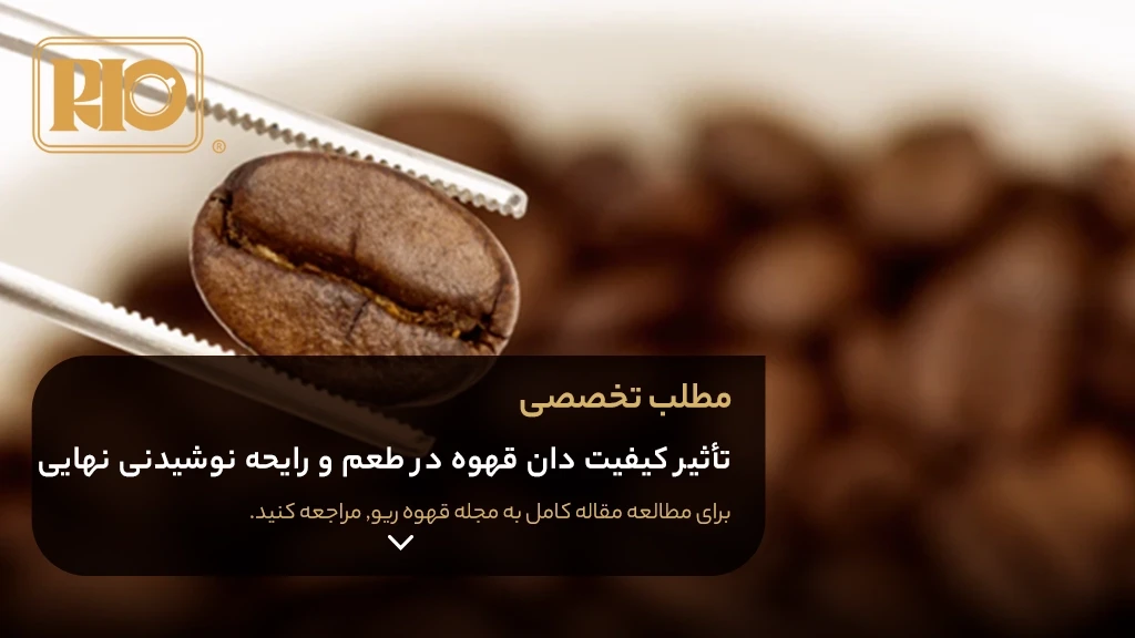تأثیر کیفیت دان قهوه در طعم و رایحه نوشیدنی نهایی