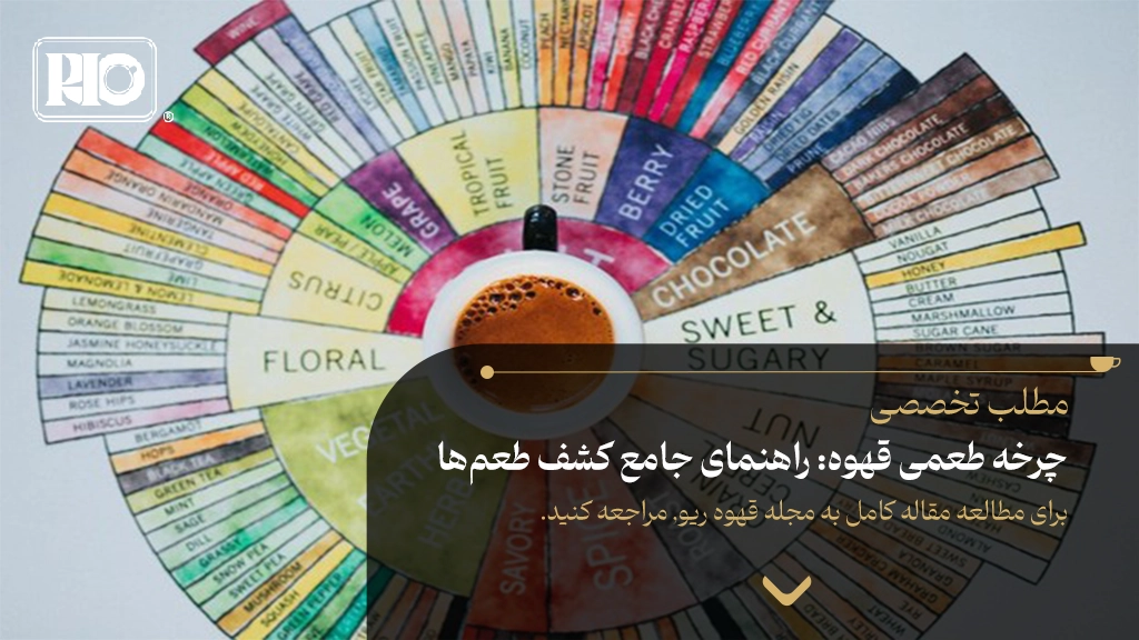 BlogTemplate NEW index copy 6 - چرخه طعمی قهوه: راهنمای جامع کشف طعم‌ها